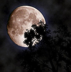 [2068563549_bfe5452c7b_m[1].jpg]